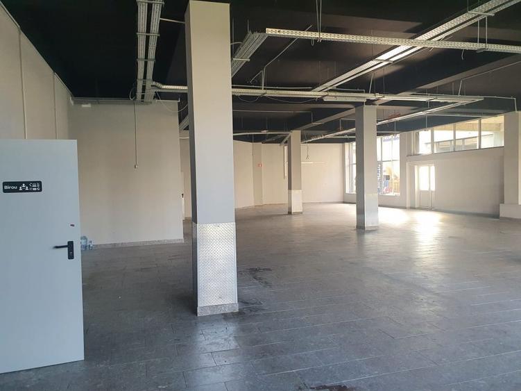 Spatiu comercial Nicolina - 4