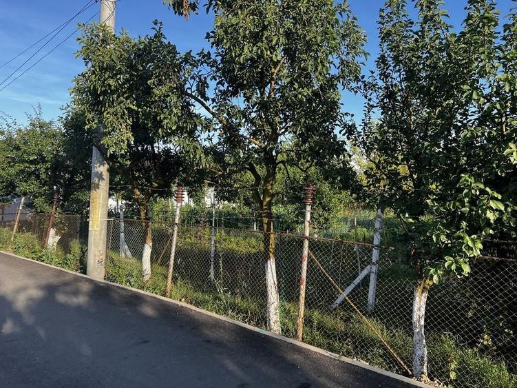 Teren intravilan in sancraiu de mures (nazna) - 7