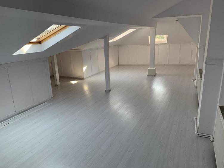 Casa cu destinatie comerciala 335 mp - 9