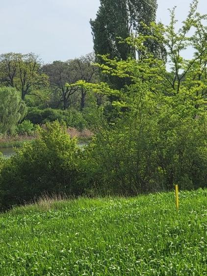 Teren 520mp, pe str. "Trei Lacuri", 90E/mp - 2