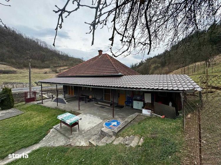 Casa de vanzare+teren intravilan+teren extravilan - 2