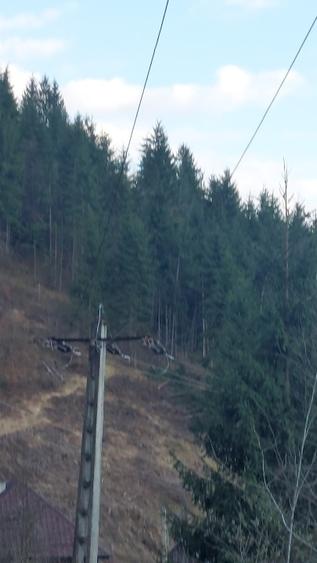 Teren intravilan de vânzare  - 2