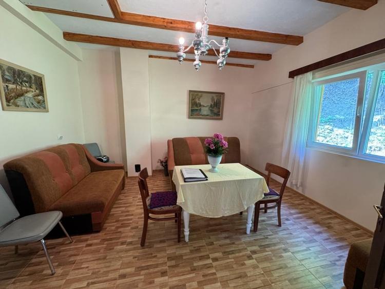 Casa de vanzare, 5 cam., 200 mp. + 5000 mp. teren, Valea Ariesului - 3