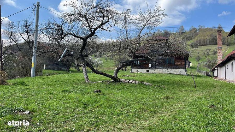 Oportunitate Premium Bran - Simon | 2800mp cu vedere panoramica Bucegi - 14