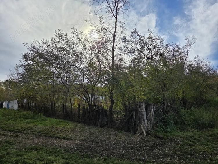 Vand casa si teren intravilan, Popesti, Vaslui - 7