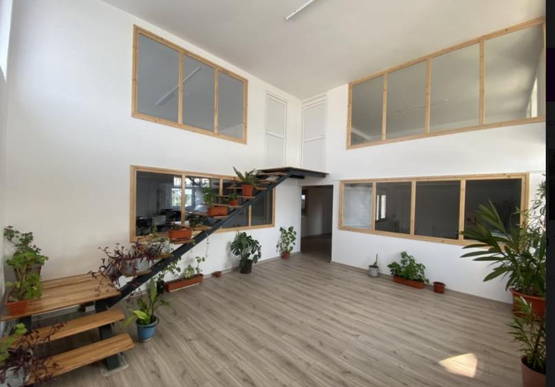 Proprietate agroindustriala, hala 1590 mp, teren 28000 mp, panouri 398 kWp - 13