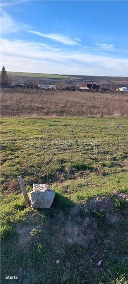 Teren TOP 1400mp 18ml stradal Vanatori (Odaia Manolache) - 6