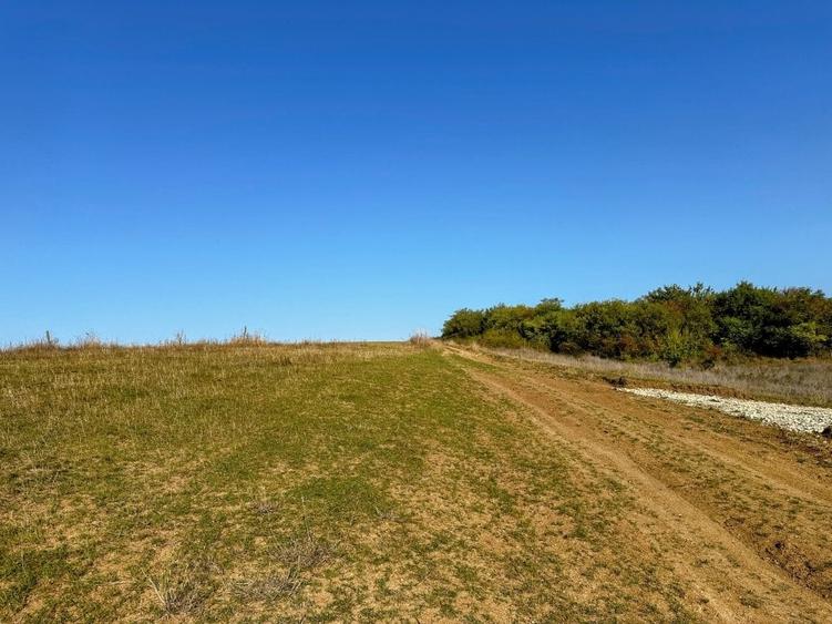 Teren de vânzare în Sibiu – Rusciori, 651 mp, oportunitate de investiție - 9