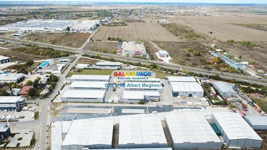 Hale Industriale Centura Rudeni Chitila Centura 415 mp/978 mp - 31