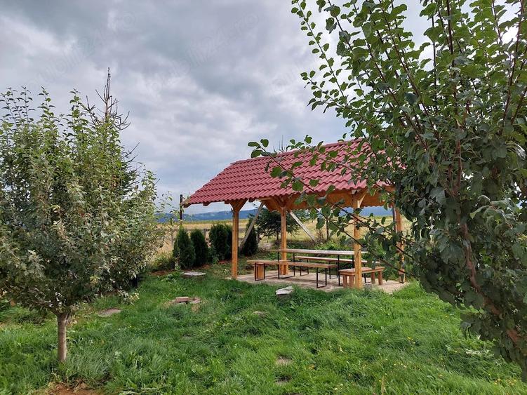 Pensiune Casa de vacanta de vanzare 6 camere Paltinis Sibiu - 10