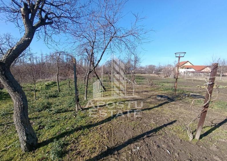 Casa individuala cu teren generos 2158mp, front 12m, liva... - 11