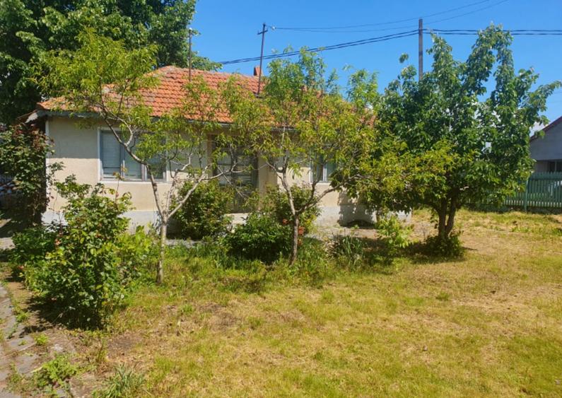 Casa batraneasca , foisor si teren de vanzare - 14