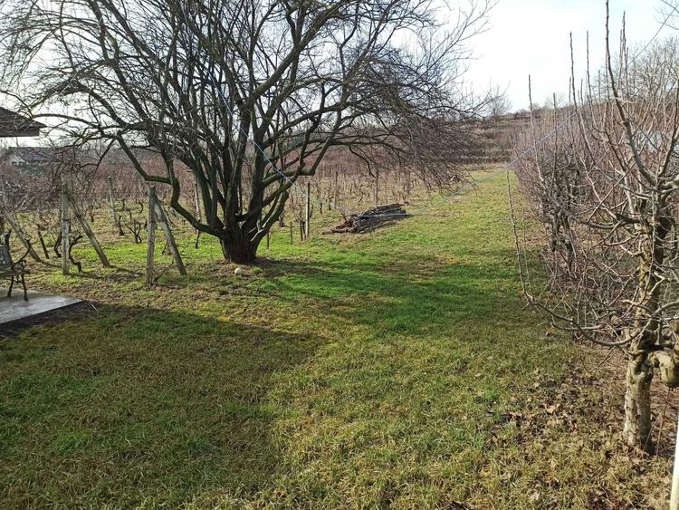 Teren intravilan 3700mp | Zona superba | Galmeia (Puiulescu) - 7