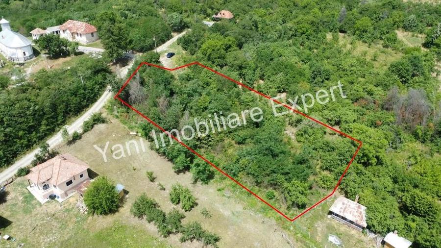 Teren de vanzare in comuna Baicule?ti, jude? Arge?.