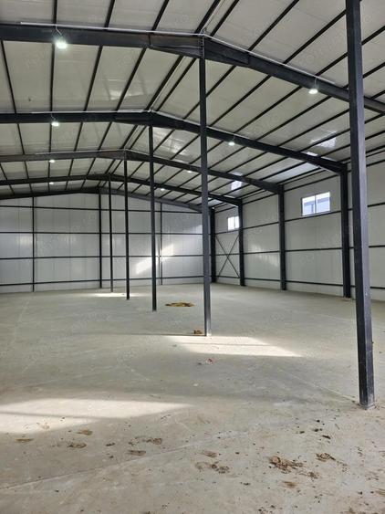 Hale noi 2026 AFUMATI ( Moara Domneasca ) 2300 Euro - 2