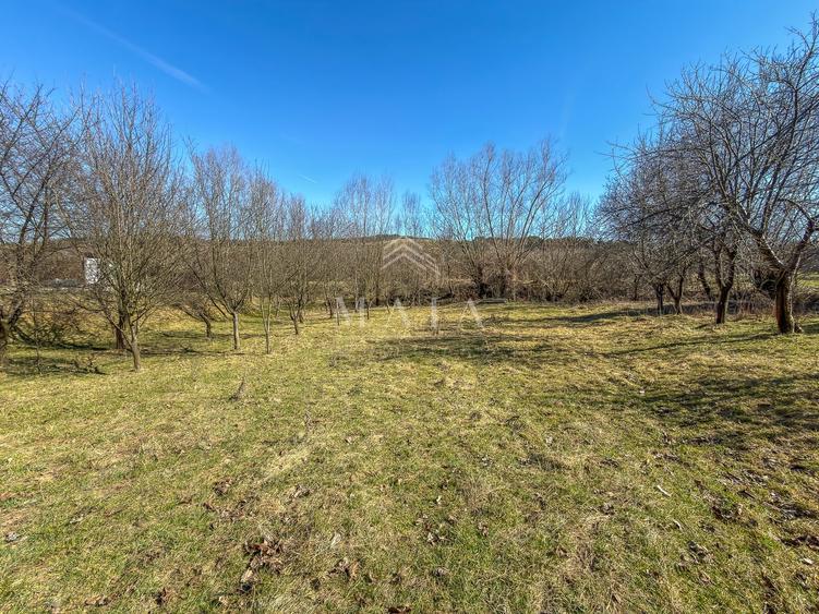 Teren intravilan, la 5 minute de cartierul Valea Aurie, 2388 mp - 3