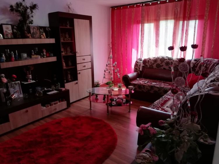 300 Euro Apartament 3 Camere Decomandat Tomesti - 4