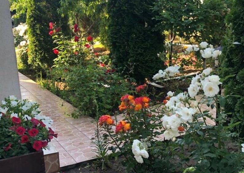 Vila - parter + mansarda - Sendreni, jud. Galati - 7