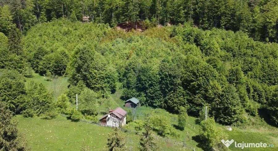 Comision 0%! Proprietate in natura, priveliste superba, S... - 8