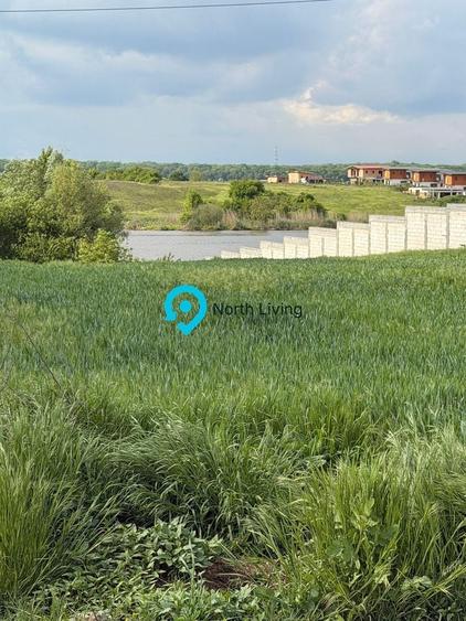 Teren Snagov - Cioflinceni | Drum amenajat | Aproape de Padure si Lac - 1