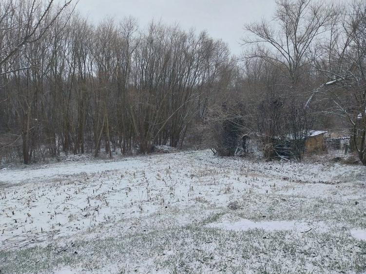 Vand lot de casa - 4