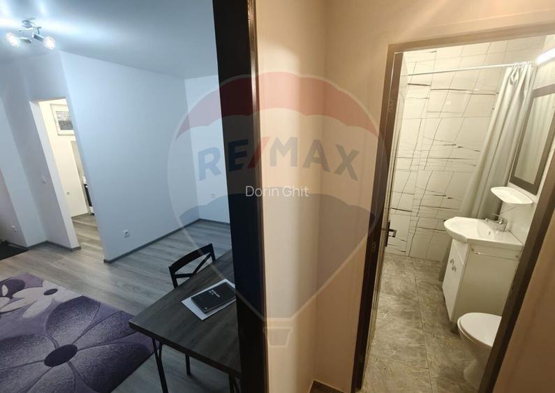 Apartament cu o camera de inchiriat Vlad ?epe?