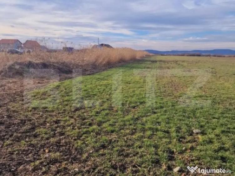 Teren intravilan, 8700mp,Prejmer - 1