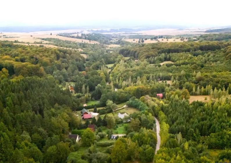 OFERTA REZERVATA!!Refugiu montan,cu 2100 mp domeniu verde,ar - 12