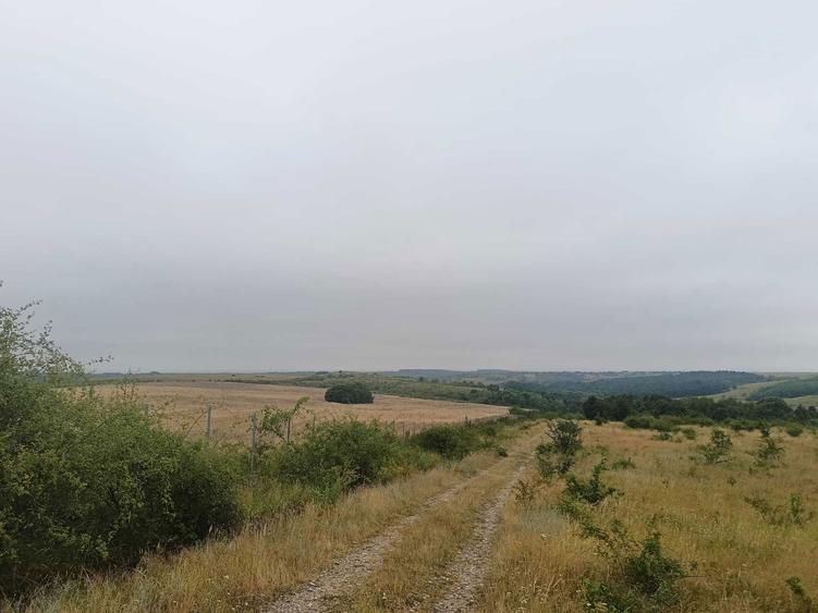 Vand teren in locatie de vis - 8