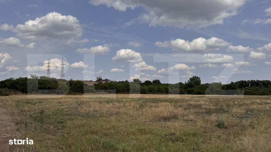 Teren EV si IV cu casa, 29.600 mp, utilitati si acces facil, Albesti - 10