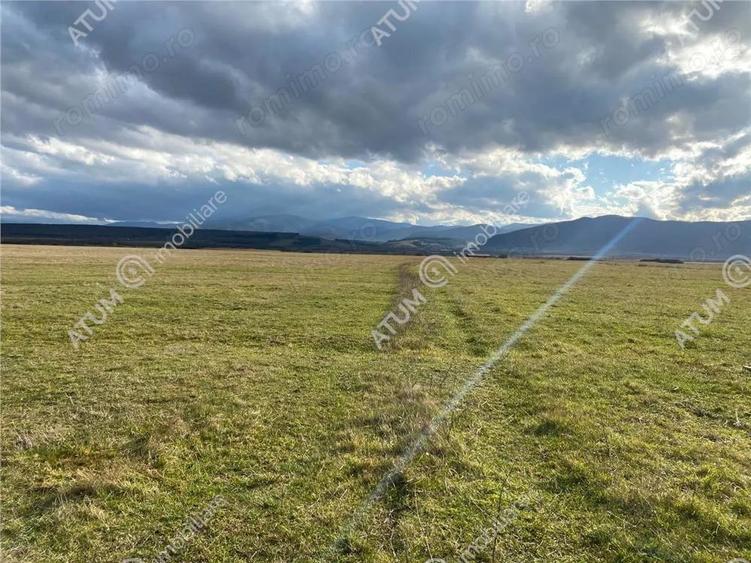 Teren de vanzare 564 mp in Sibiu pretabil investitie - 8