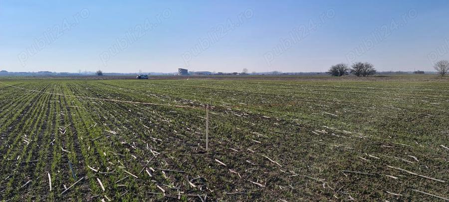 Proprietar vand teren in com. 1 Decembrie - 7
