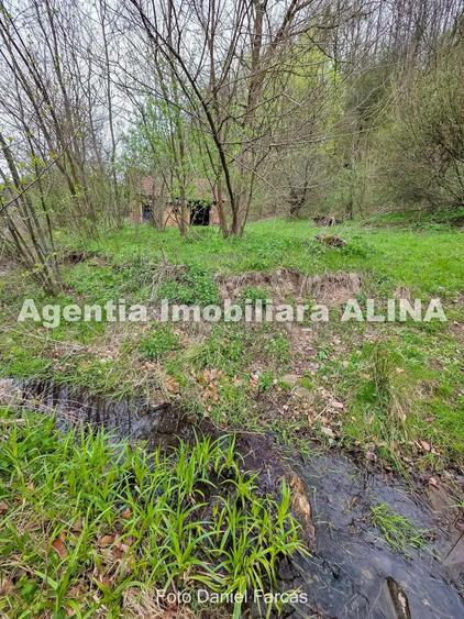 Teren intravilan 1.700 mp + 6.600 mp Padure de foioase + 1.200 mp Padure de foioase, Sat Nojag. - 10