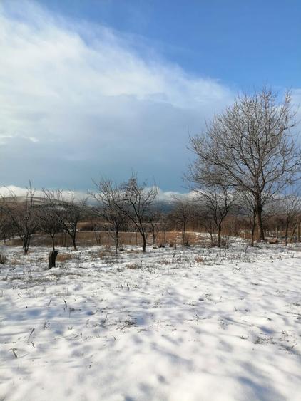 Teren intravilan Jugureni - Prahova - 1