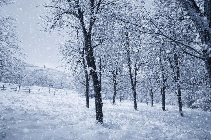 ✨ Teren cu potențial rezidențial și turistic | 3.000 m² | Exclusivitate Napolux - 2