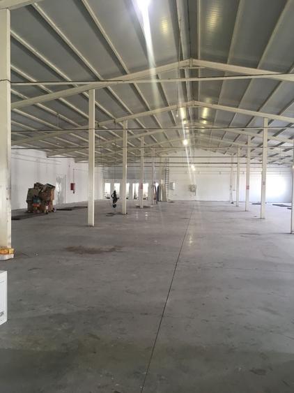 HALA DEPOZITARE ACCES DIRECT CENTURA - 5