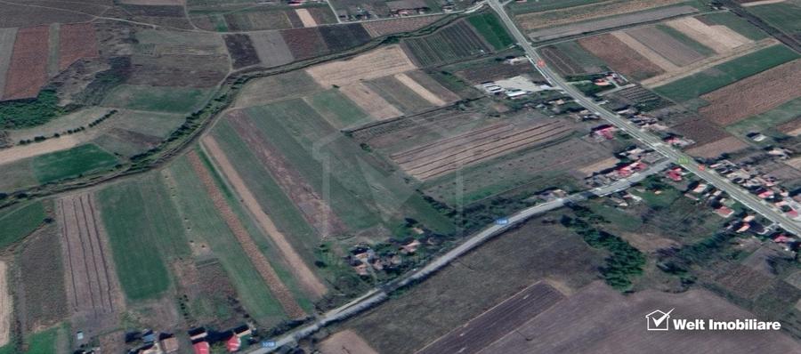 Teren 6200 mp, Fundatura, ferit de drumul principal - 3