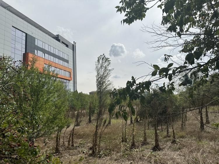 DESHIDERE  46m la  Bd. Theodor Pallady 40F/8300MP/ - 3