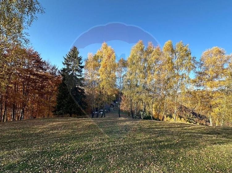 Oportunitate de investiție ! Teren de vis în Pestera - 125.370 mp - 21