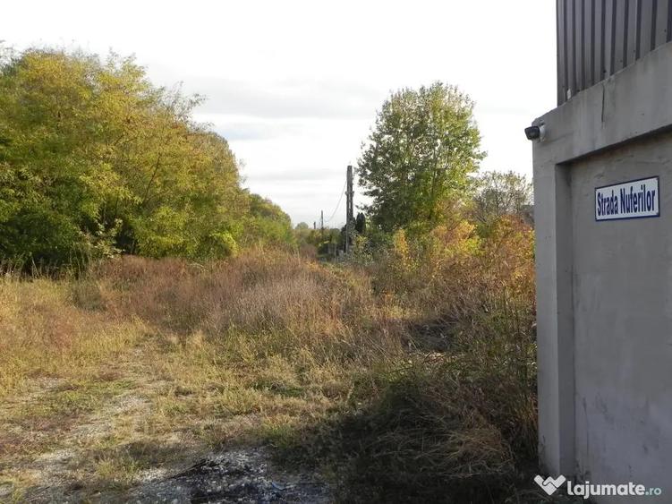 Teren intravilan -pozitie deosebita-langa padure-Domnesti-Teghes 518mp - 2