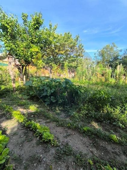 Casă de vanzare 3 camere Gherla - 35