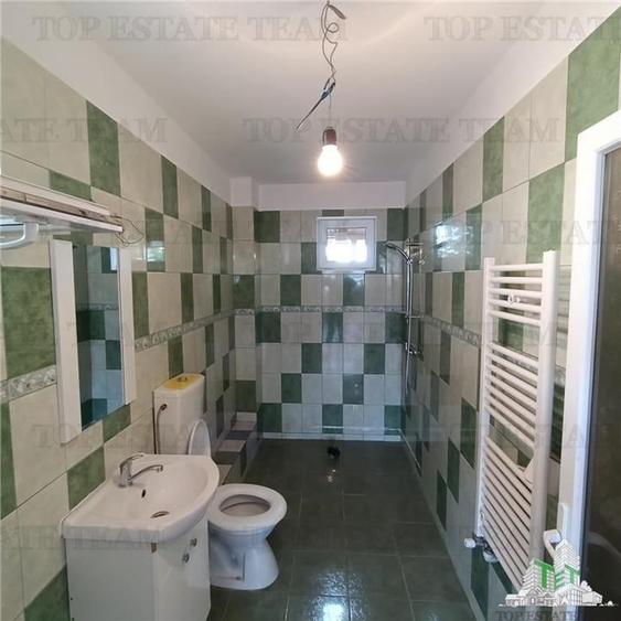 Casa individuala de vanzare  / potrivita si pentru business in zona parcului din - 6