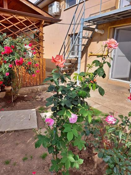 Casă de vânzare în zona Militari,la doar 10 minute de metrou Gorjulu! - 1