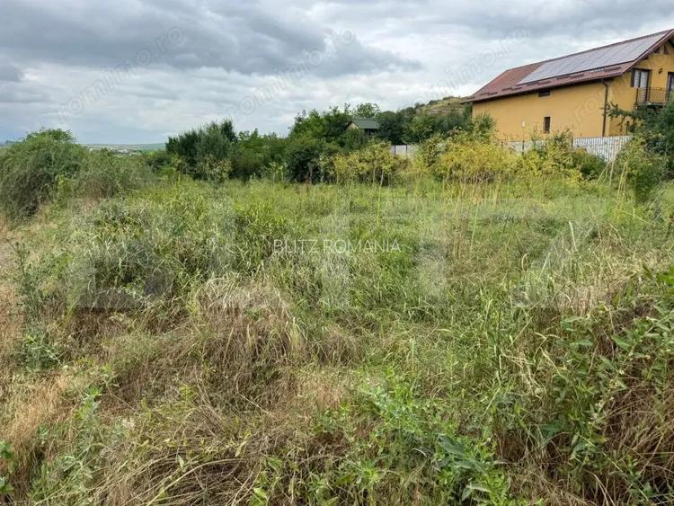 Teren 2100 mp, intravilan, zona Turda Noua! Teren 2100 mp, intravilan, zona Turda Noua!