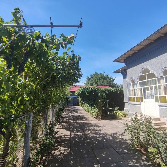 Vanzare casa la tara - 5