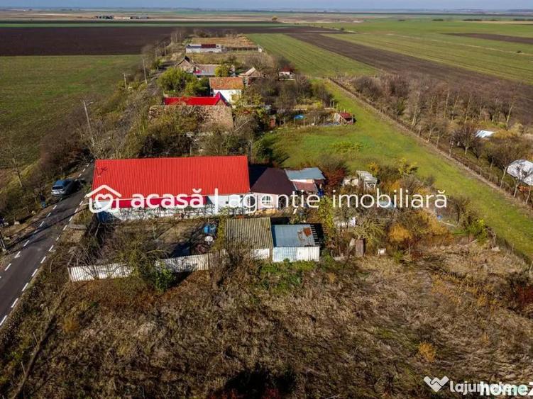 ???? Oportunitate Unica de Vanzare in Variasu Mare! ???? - 10