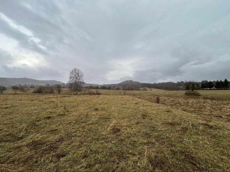 Teren extravilan cu potential intravilan - 6