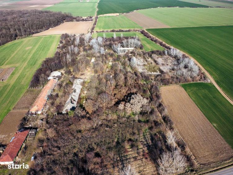 Ferma si livada de meri in judetul Ilfov - 1