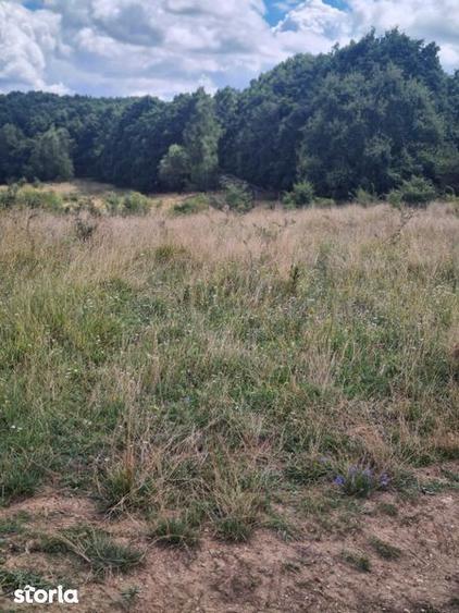 Teren extravilan 2500m2. Panorama superba.-Salicea - 4
