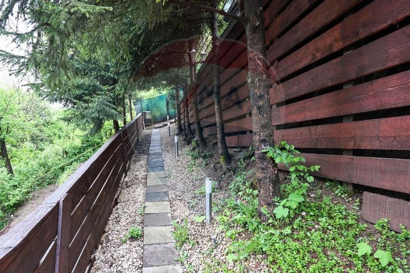 Casa in inima naturii - potential turistic - Centrul Istoric! - 33